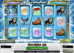 Icy Wonders Screenshot 6