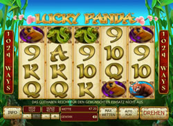 Lucky Panda Screenshot 1
